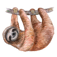 Sloths coloring pages
