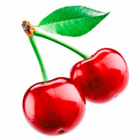 Cherry coloring pages