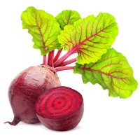 Beets coloring pages