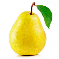 Pears coloring pages