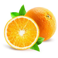 Oranges coloring pages