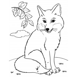 Fox is resting in a meadow