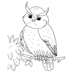 Kind owl