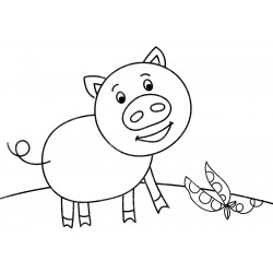 Funny pig