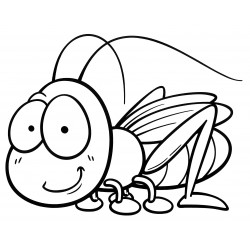 Eyeball Grasshopper