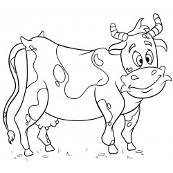 Funny cow