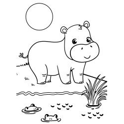 Hippo at the waterhole