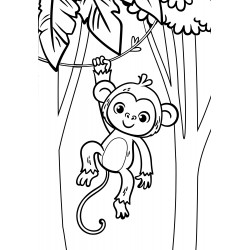 Monkey hanging from a vines