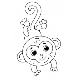 Charming monkey