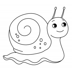 Beautiful snail