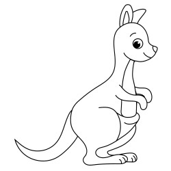 Funny kangaroo