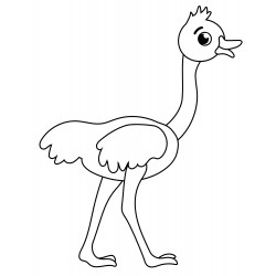 Cute ostrich