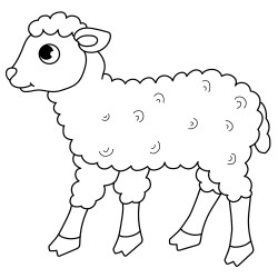 Good sheep