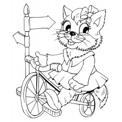 Cat on a bicycle