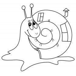 Snail with a house