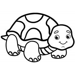 Cheerful tortoise