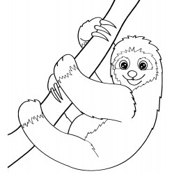 Jolly sloth