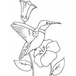 Hummingbird flies off the flower