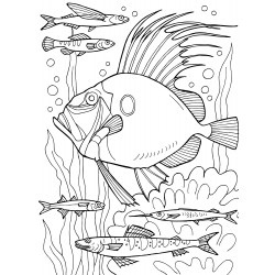 Fish with large fins