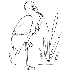 Kind stork