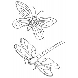 Butterfly and dragonfly