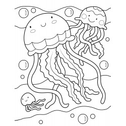 Two beautiful jellyfish