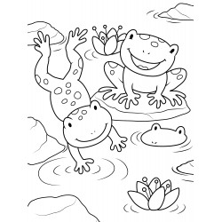 Frogs diving into the water