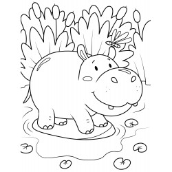 Round hippo