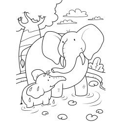 Baby elephant with its mum
