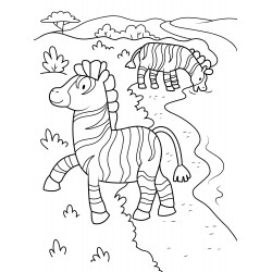 Zebras on a walk