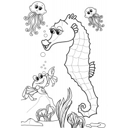 Seahorse and its company