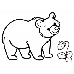 Bear found a raspberry