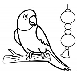 Parrot on a twig