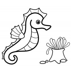 Seahorse and seaweed