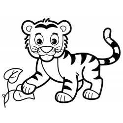 Little tiger cub