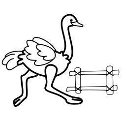 Running ostrich