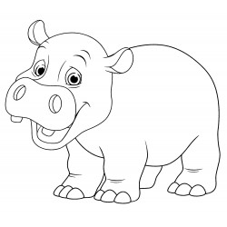 Clumsy hippo