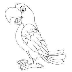 Nimble parrot