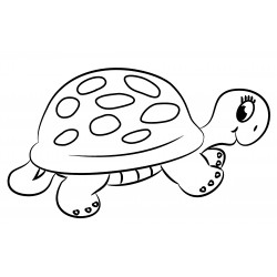 Slow-moving turtle