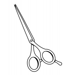 Skilfully crafted scissors