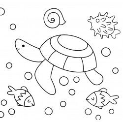 Turtle and sea urchin