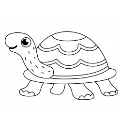 Adorable turtle