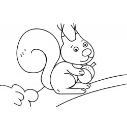 Squirrel with a nut