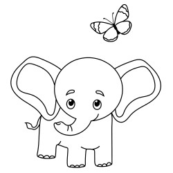 Elephant is looking at the butterfly