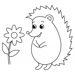 Hedgehog looks at the flower