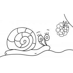 Snail and Berry