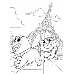 Puppies in Paris