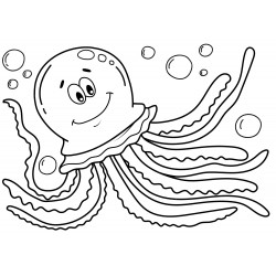 Joyful jellyfish