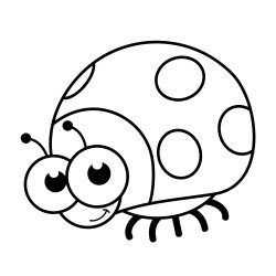 Round ladybird