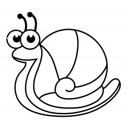 Ordinary snail